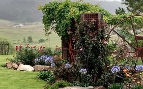 Rocks & Roses Farm Stay